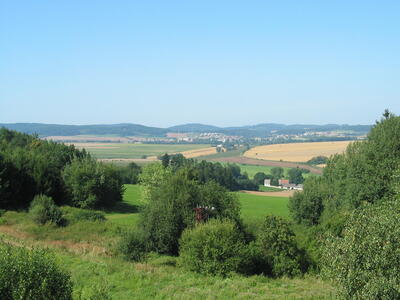 IMG 0669